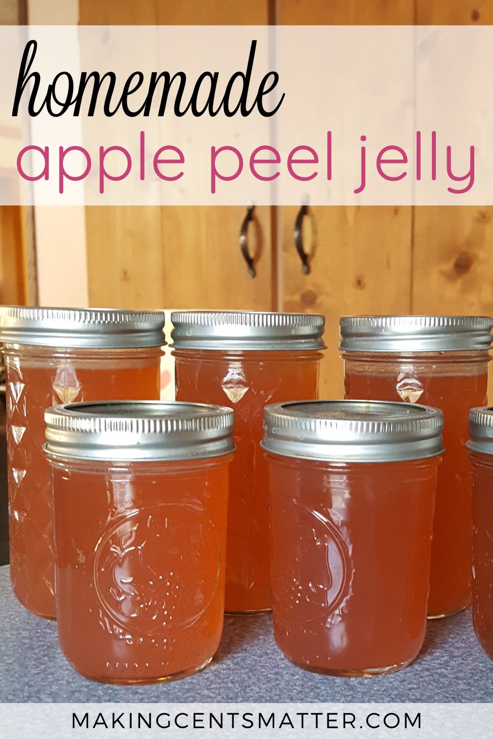 Apple Peel Jelly Canning Tutorial Making Cents Matter